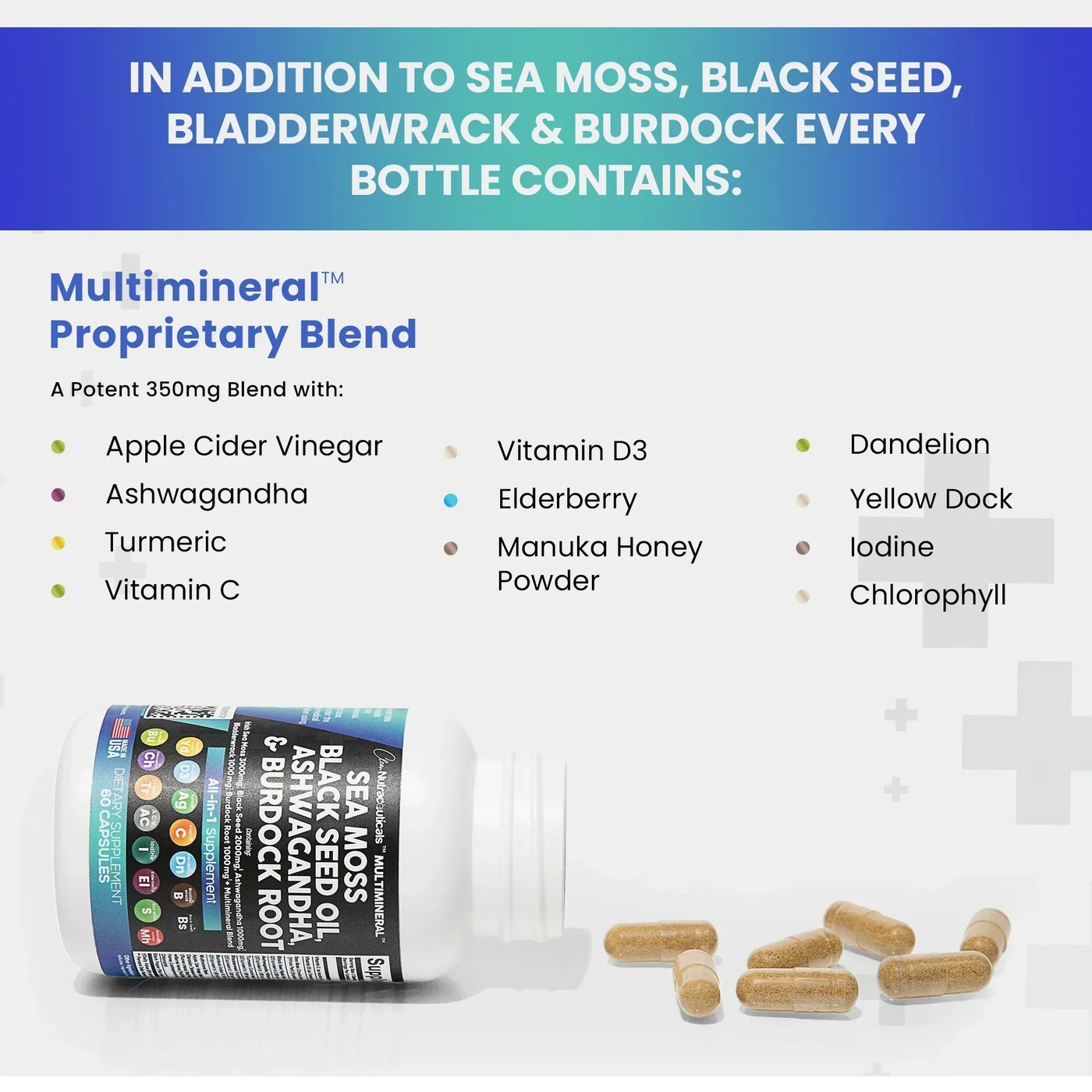 INNOVEX™  - Multimineral Sea Moss Black Seed