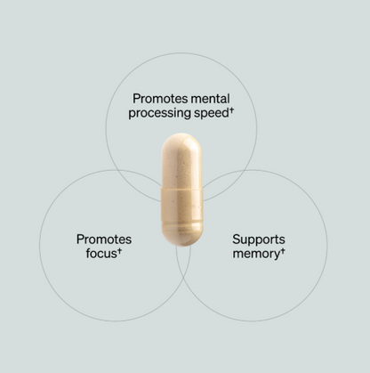 ONNIT - ALPHA BRAIN