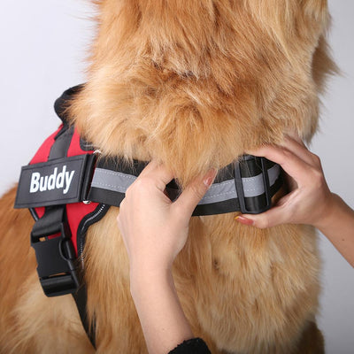 INNOVEX™   - CUSTOM FIT NO-PULL DOG HARNESS