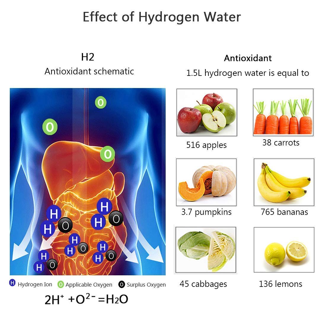 INNOVEX™   - HYDROGEN WATER BOTTLE